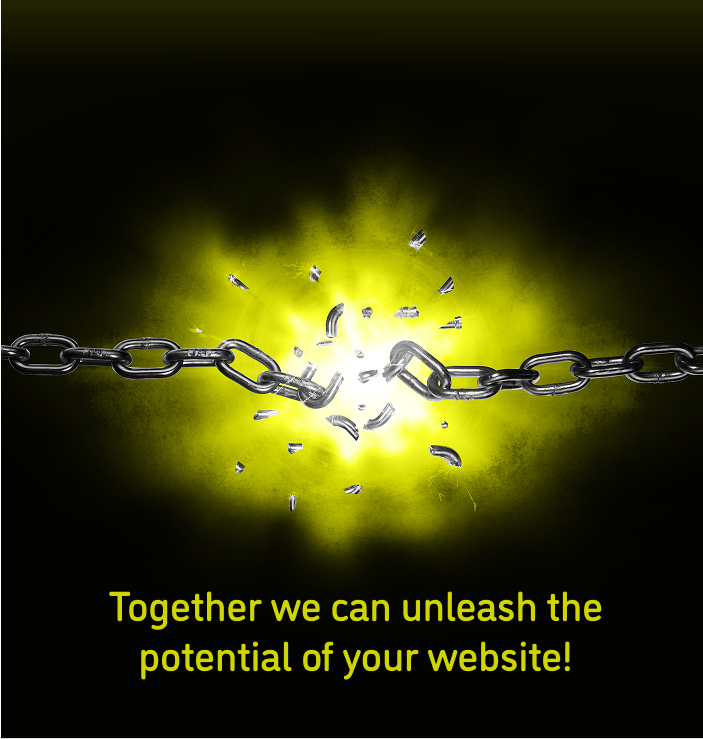 Together we can unleash the potential of your website!