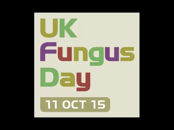 UK Fungus Day website brings academics, educators, enthusiasts and families together