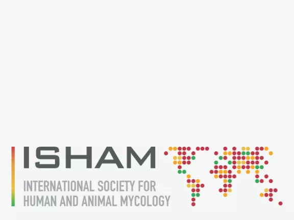 concrete5 website with a global presence for ISHAM
